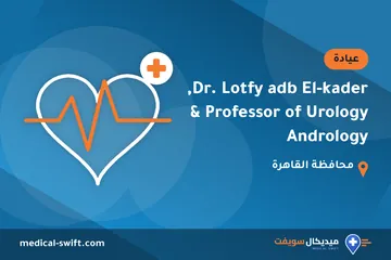 Dr. Lotfy adb El-kader, Professor of Urology & Andrology – عيادة في محافظة القاهرة